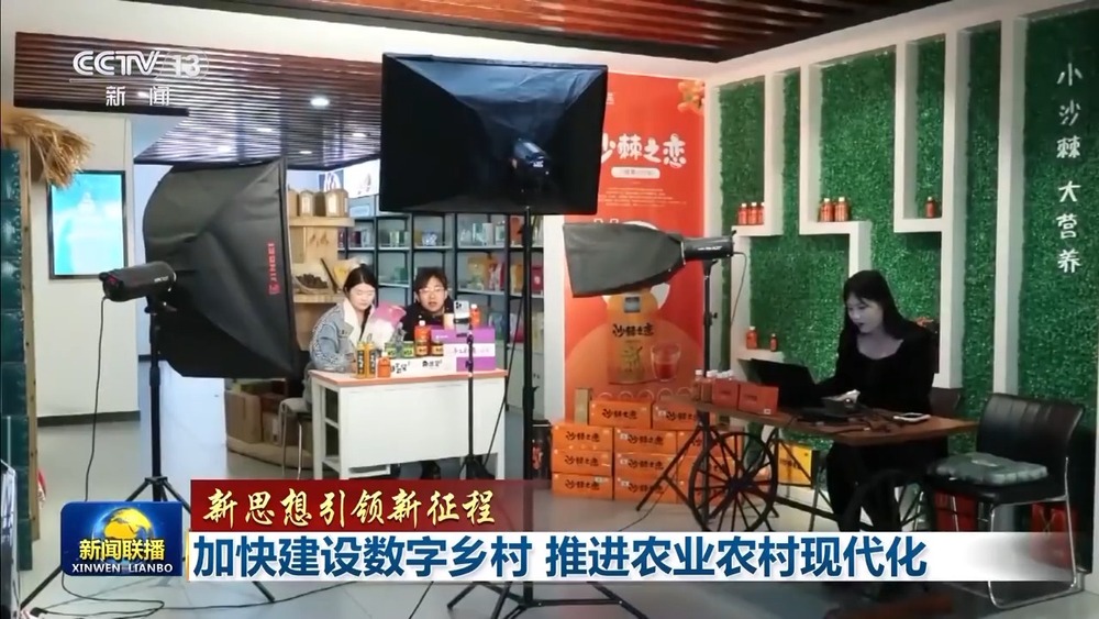 新思想引領新征程丨加快建設數(shù)字鄉(xiāng)村 推進農(nóng)業(yè)農(nóng)村現(xiàn)代化(圖6)