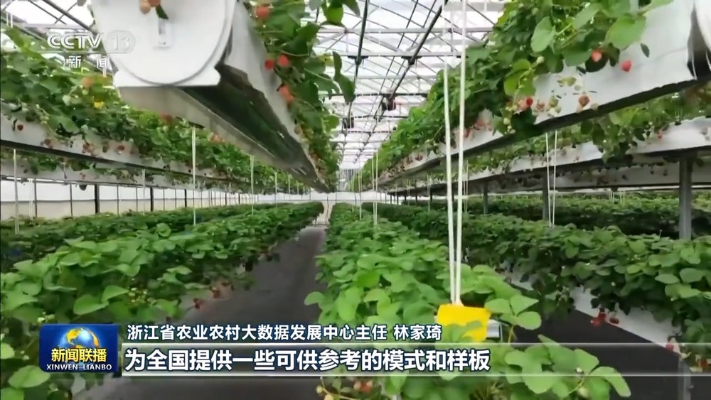 新思想引領新征程丨加快建設數(shù)字鄉(xiāng)村 推進農(nóng)業(yè)農(nóng)村現(xiàn)代化(圖8)