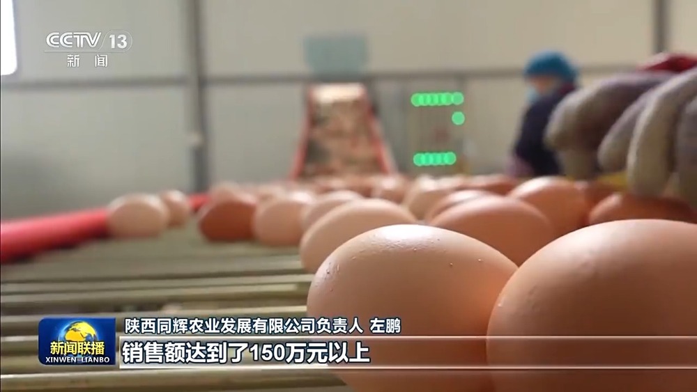 新思想引領新征程丨加快建設數(shù)字鄉(xiāng)村 推進農(nóng)業(yè)農(nóng)村現(xiàn)代化(圖9)