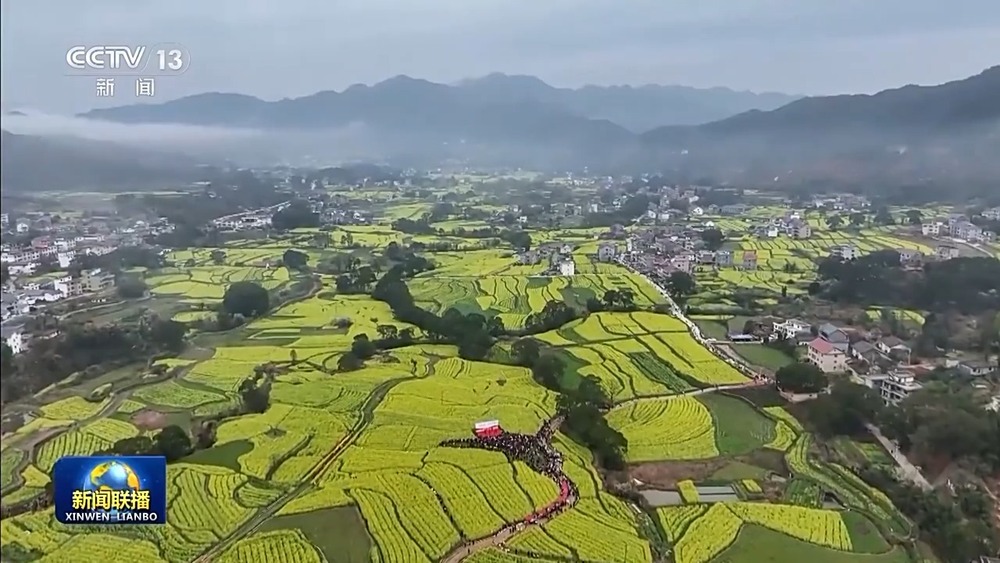新思想引領新征程丨加快建設數(shù)字鄉(xiāng)村 推進農(nóng)業(yè)農(nóng)村現(xiàn)代化(圖10)